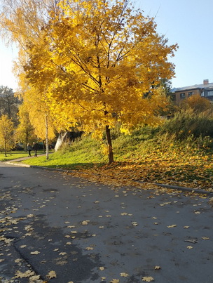 осенняя природа